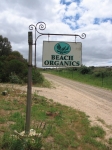 Beach Organics